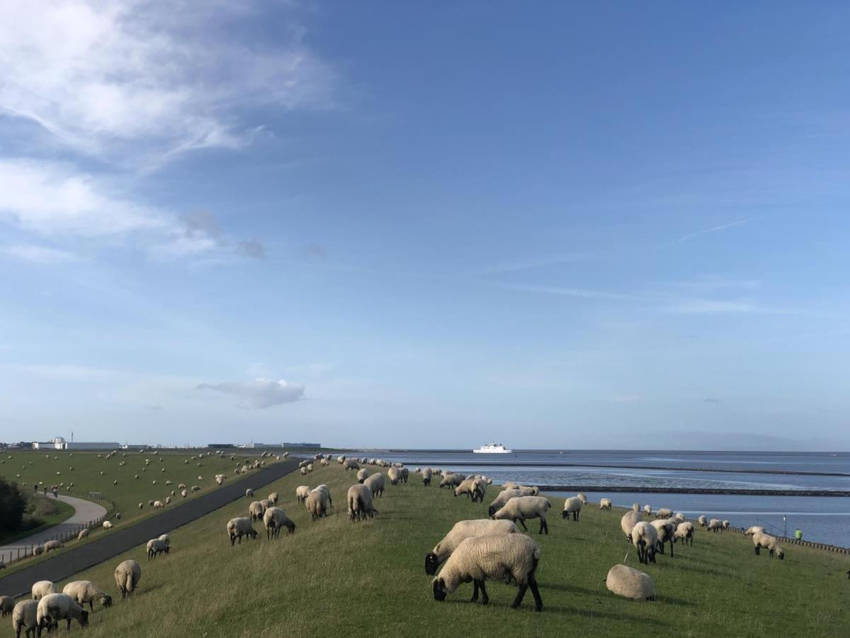 Wind Und Meer - Traumhaft An Der Nordsee Норддайх Екстер'єр фото